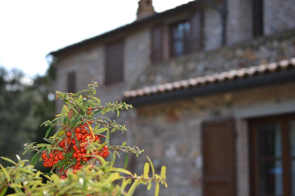 La Casaccia Séjour à la campagne Venturina Terme