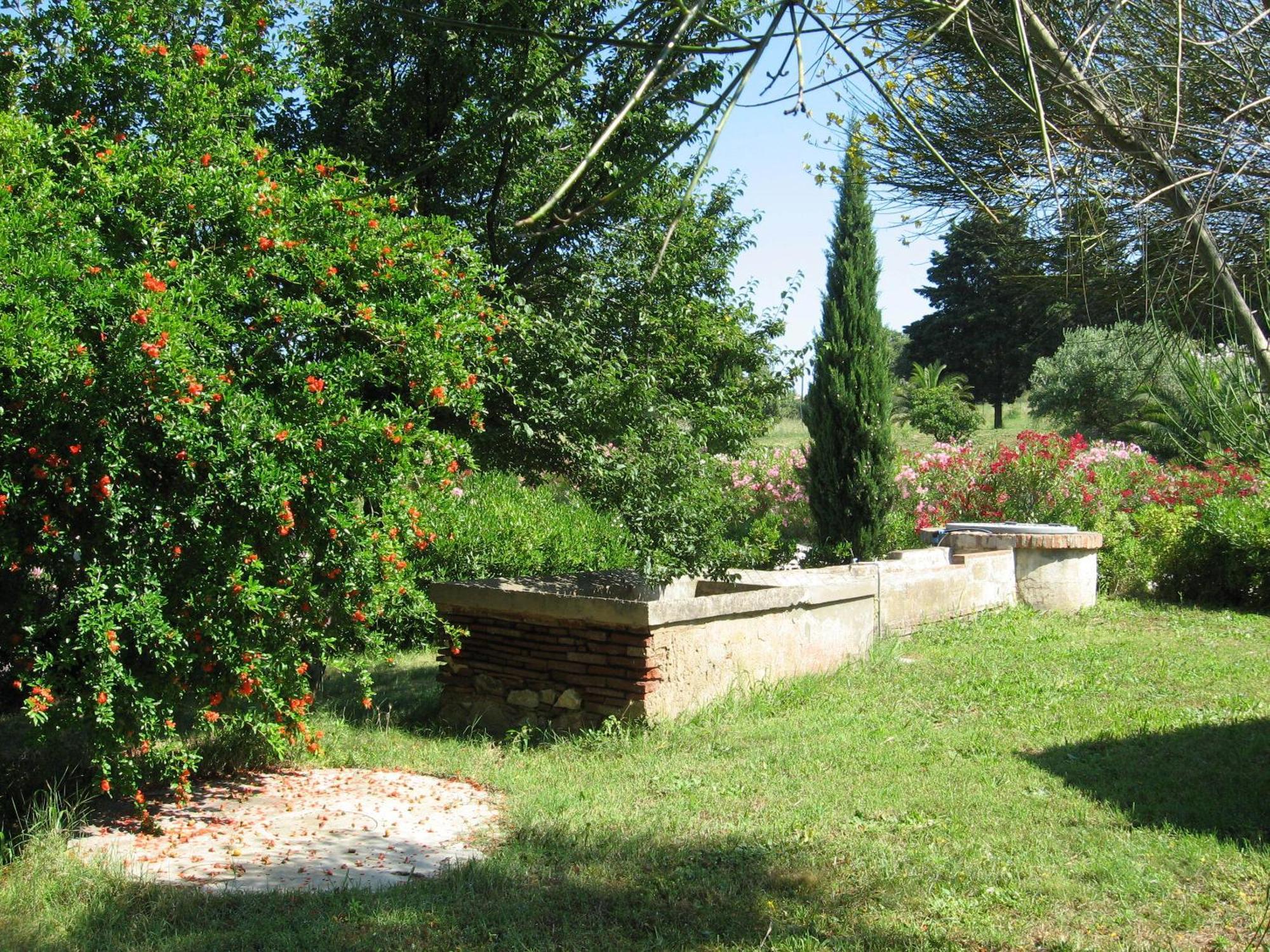 La Casaccia Casa rural *